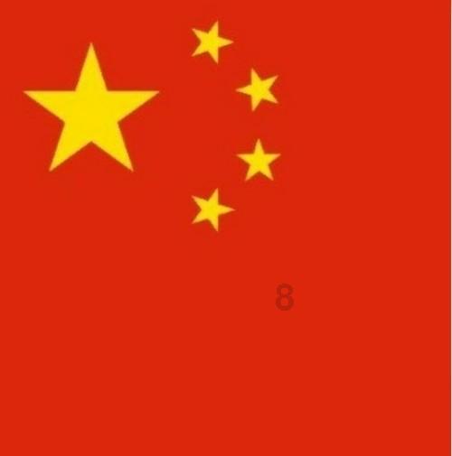 盐和避难所